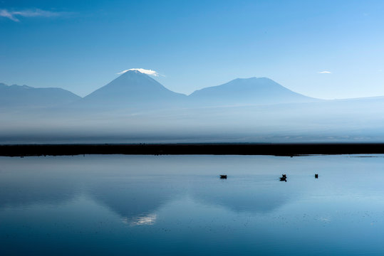 Laguna Chaxa