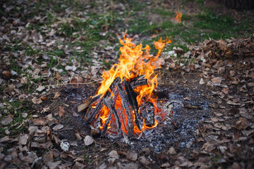 cozy bonfire in the fall