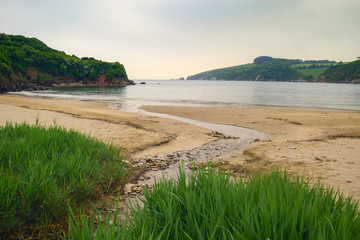 Fototapeta premium Stream on the shore