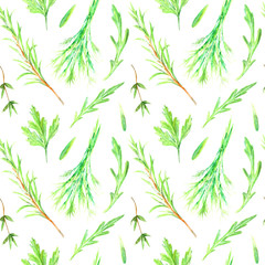 Fototapeta na wymiar Floral seamless pattern of a herbs and spices. Packaging of a oregano, dill, parsley, rocket,thyme. Watercolor hand drawn illustration.White background.