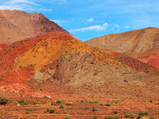 The strong contrast between red and yellow soil colours in the moroccan mountains (Gorge Du Dades). Landscape in Morocco