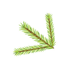 Vector christmas tree branch. isolated new year illustration.