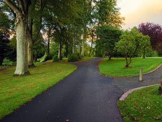 Fototapeta premium Early Autumn countryside morning,Northern Ireland