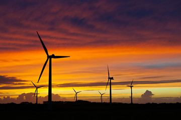 Obraz premium Silhouette of windturbines on an amazing sunset