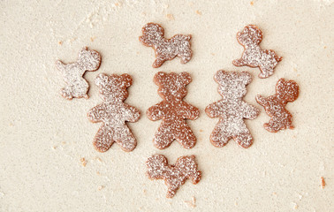 bake Christmas gingerbread cookies, cooking in the kitchen.