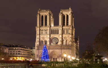 Fototapeta na wymiar The Notre Dame Cathedral with Christmas tree - Paris, France