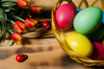 Easter eggs in different colors