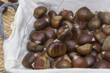 Una canasta con castañas dulces crudas