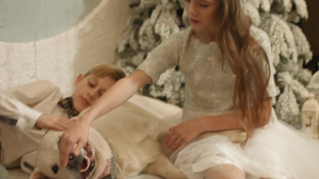 Lovely children having fun with labrador dog lying next to the Christmas tree