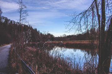 water landscape with forest in the background and blue sky
