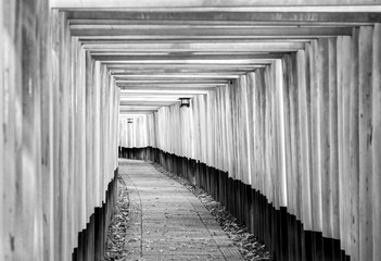 Fototapeta premium Fushimi Inari Taisha Shrine in Kyoto,