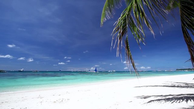 Tropical beach with coconut palm and turquoise water,  travel destinations