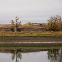 Utah Landscape 1