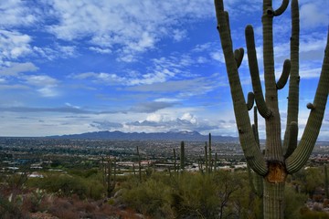 Linda Vista Hiking Trail Oro Valley Arizona