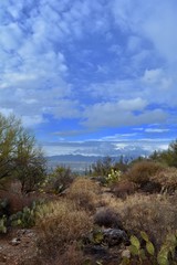 Fototapeta na wymiar Linda Vista Hiking Trail Oro Valley Arizona