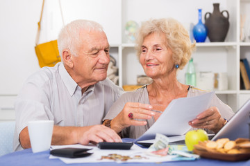 Fototapeta na wymiar Smiling senior couple counting home finances