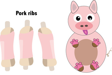 Pork ribs illustration