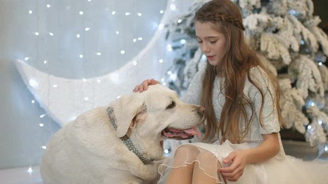 Nice girl in fashionable clothes sitting with her dog
