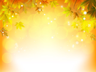 Fototapeta na wymiar Autumn leaves maple and with papper background