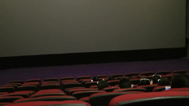 cinema And the audience
