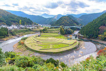 あらぎ島