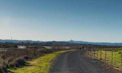 Jogging next to wetlands