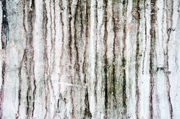 Grunge Wall Background