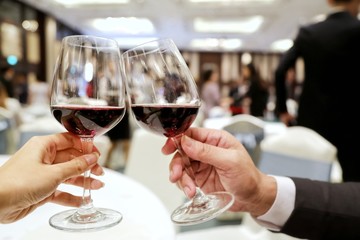 two persons clinking glasses of rich red wine in a party. Concept of making new friend, joining party, drink don't drive