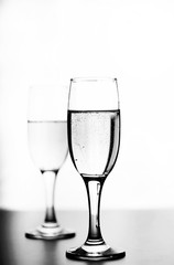 monochrome photo of champagne on white table on white background