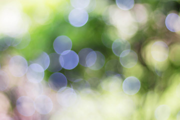 Beautiful bokeh at sunlight.