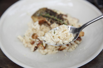 risotto with sea bass fillet steak on wood background , italian food