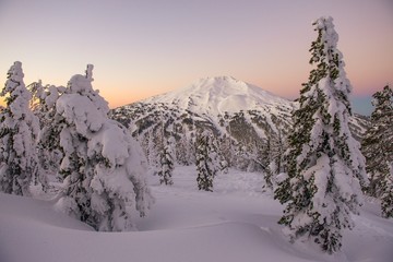 The snow covered Cascade Mountains framed by frozen trees at sunrise in winter - 185074351