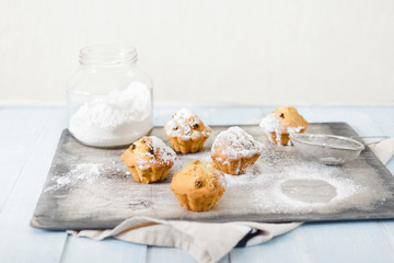 Cooking homemade cupcakes with raisins and powdered sugar