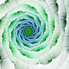 Green and blue fractal flower, digital artwork for creative graphic design