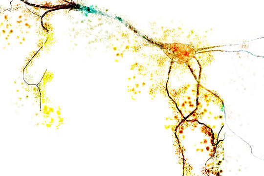 neuron research exploding degenerating neuron nervous system research brain neurons 3d rendering