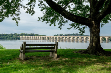 Bench on the Bank of the River