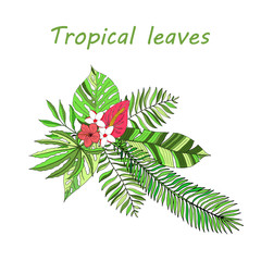 Floral paradise hand drawn tropical leaves.