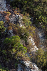 Fototapeta na wymiar Barres Rocheuses et maquis de costa verde en haute Corse 