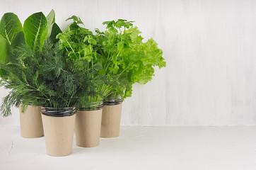 Salad, spinach, dill, parsley in craft pots on white wood shelf, copy space. Healthy food.