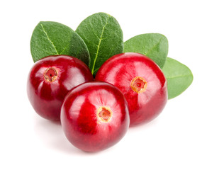 Cranberry with leaf isolated on white background closeup macro