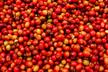 fresh coffee beans for background