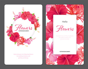 
Beautifu hibiscus syriacus flowers on white background template. Vector set of blooming tropical floral for wedding invitations and greeting card design. 