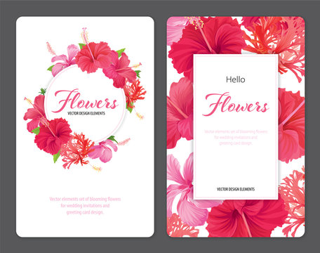 
Beautifu hibiscus syriacus flowers on white background template. Vector set of blooming tropical floral for wedding invitations and greeting card design. 