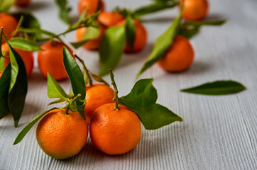 Three fresh tangerines with green leaves on the gray wooden board. Juicy orange mandarins and tangerine orange on the blurred background. Citrus background. Close up view