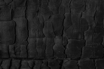 Black grunge background. Burnt wood texture.