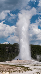 Old Faithful Geyser Yellowstone