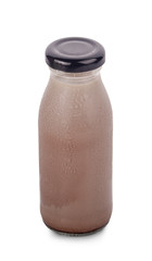 Various flavors of milk in bottles with chocolate