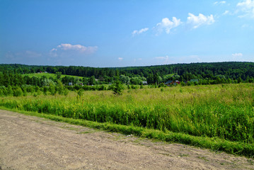 Fototapeta na wymiar dirt road through forest in summer day