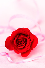Fototapeta premium Valentines Day Roses