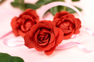 Valentines Day Roses
